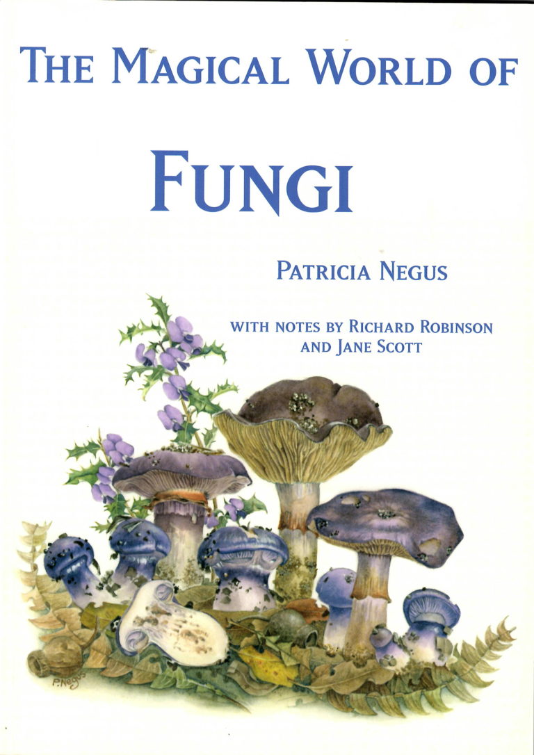The Magical World of Fungi Shop